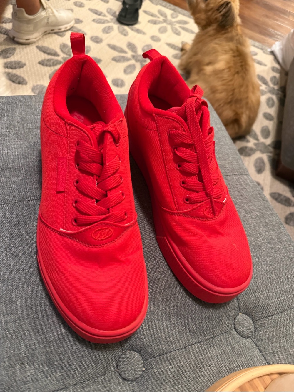 Heelys Red Low-Top Sneakers